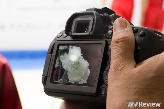 Canon EOS 80D-3