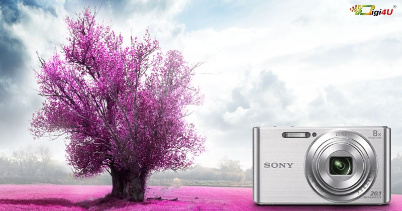 Những đặc điểm nổi bật của máy ảnh Sony