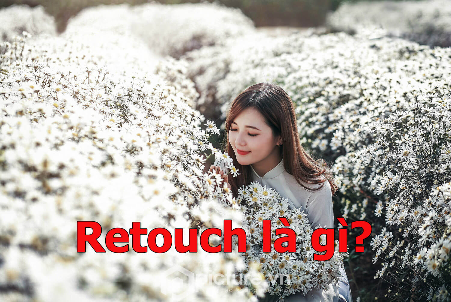 Retouch là gì? Cùng tìm hiểu về retouch – Digi4u