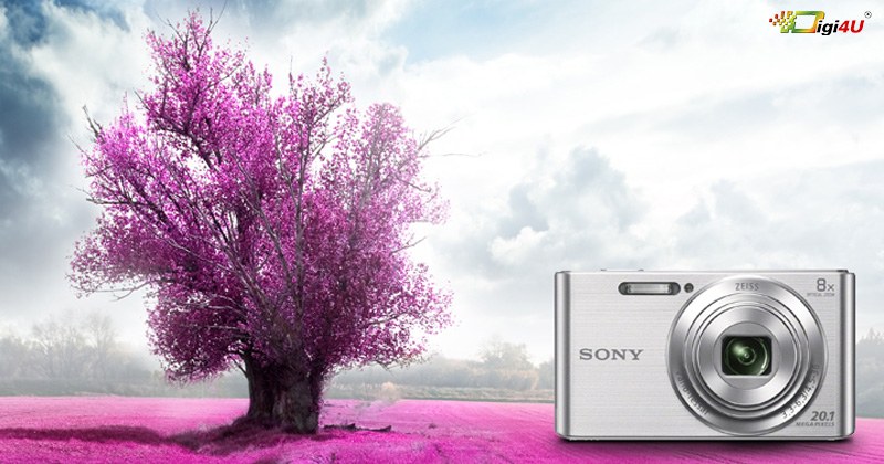 máy ảnh Sony CyberShot DSC-W830