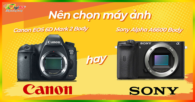 Nên chọn máy ảnh Canon EOS 6D Mark 2 Body hay Sony Alpha A6600 Body