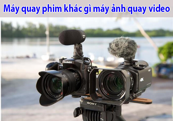Máy quay phim khác gì máy ảnh quay video?