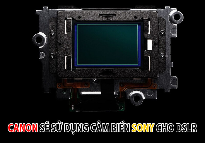 Canon sẽ dùng cảm biến Sony cho máy ảnh DSLR của mình. Có lẽ nào?