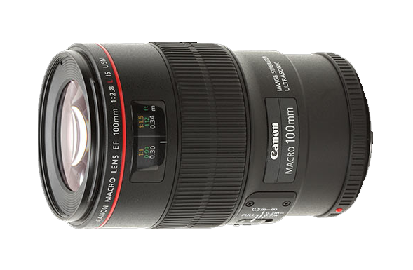 Canon EF100mm f/2.8L Macro IS USM