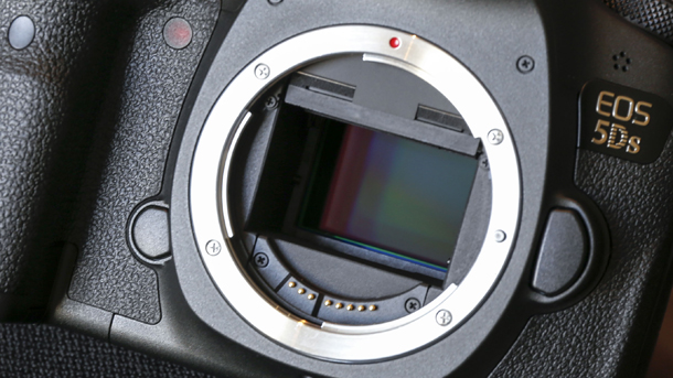 Canon EOS 5DS (body)-1